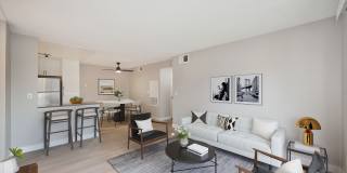 The Harlow Gallery 2