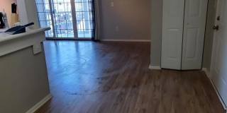 261 kempsey Drive Gallery 27