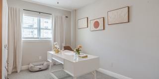 Dream Space Coast Gallery 8