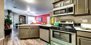 Nine on Shoreline Gallery 18