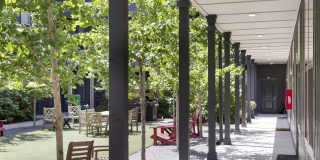 Thrive Argenta Gallery 40