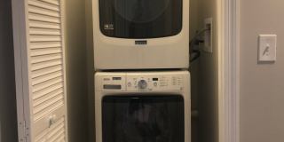 Newly Renovated 6-bedroom 3-bathroom house for rent! Available 6/1/2026 Gallery 2