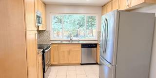 Remodeled one story home in highly desirable Alamo with huge park like yard ! Remodeled one story home in highly desirable Alamo with huge park like yard ! Gallery 11