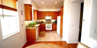 467 Pariso Terrace Gallery 11