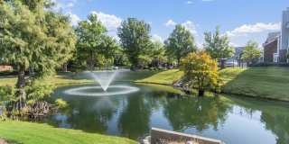 Preserve at Bartlett Gallery 39