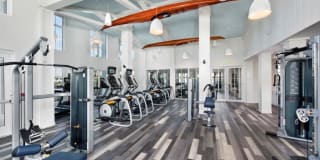 Town Westshore Gallery 31