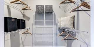 Cortland on Orange Gallery 16