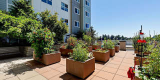 Destinations Lynnwood 61+ Active Adult Apartment Homes Gallery 36