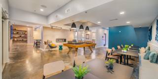 The Baxly Gallery 16