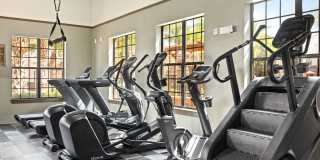 The Hawthorne Gallery 23