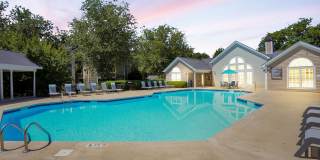 The Laurel Apartments Gallery 3