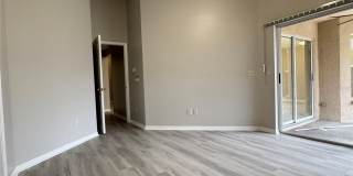 27618 SKY LAKE CIRCLE Gallery 14