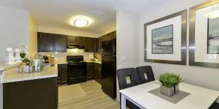 Elevate at Dawson Forest Gallery 4