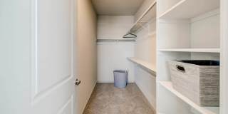 Savanna Nine Mile Gallery 30