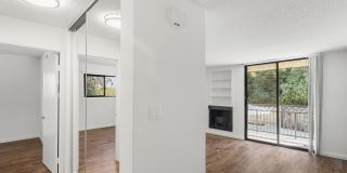 Ariel Court Gallery 11