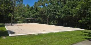 Freshly Painted 4BR/2BA Pool Home with Screened Pool & Spa – Move-In Ready! Gallery 14