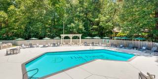 The Forest Gallery 13