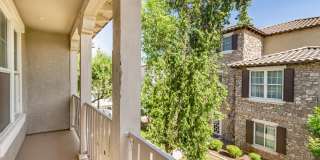 3647 E HORACE Drive Gallery 24