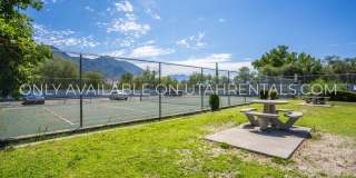 1707 Hickory Ln Gallery 18