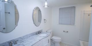 Renovated 5BR Home Minutes from Downtown Columbia | Two Full Kitchens + Fenced Yard ~ Available May 2026! Gallery 39