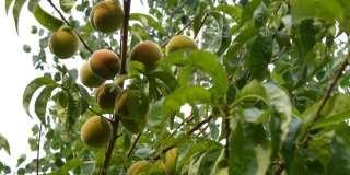 2867 SEDALIA LOOP, BEND, OREGON 97701 - ARROWHEAD Gallery 6