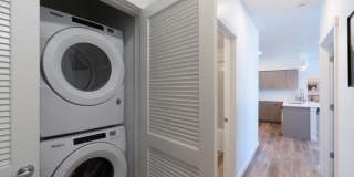 Red Hawk and Laurel Grey Gallery 25