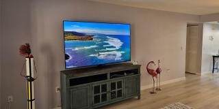 153 WILD PALM Drive Gallery 12
