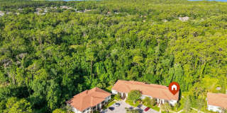 Furnished Ground Floor Corner Unit - Palm Harbor! Gallery 38