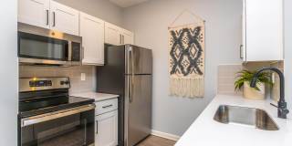 Mallard Glen Gallery 52