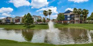 Aventura on Briar Forest Gallery 24