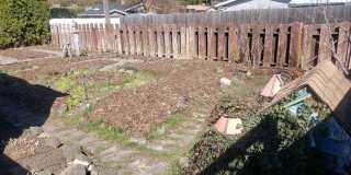 Available June 10th 3-bedroom, 2 bath home on a corner lot near Hamblen Elementary School Gallery 20