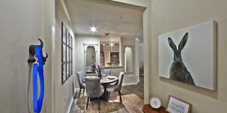 Aven Chastain Gallery 11