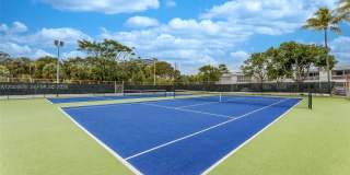 6207 BAY CUB DR Gallery 17