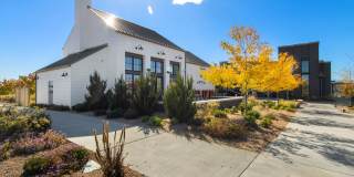6225 Wild Rye St Gallery 26