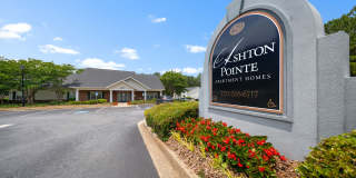 Ashton Pointe Gallery 6