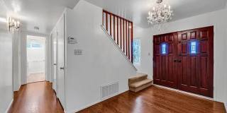 1813 Boxwood Drive Gallery 1