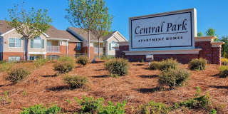 Central Park Gallery 13