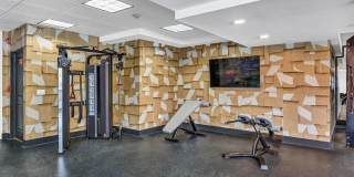 Albion on Lake Cook Gallery 4