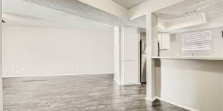 Rise Spring Pointe Gallery 132