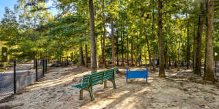 University Ridge Apartments Gallery 43