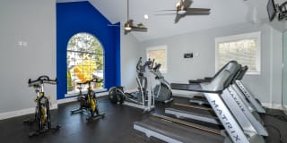 The Palmer The Palmer Gallery 14