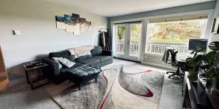 Sunny 1 bed 1 bath condo in Fremont Gallery 7