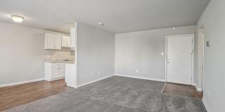 Swift at Riverdale Park Gallery 25