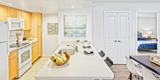 Thomas Court Gallery 2