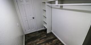 Spring Pine Gallery 32