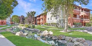 Shadowbrook Gallery 27