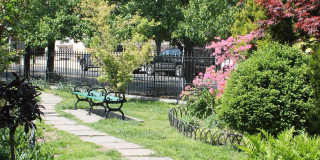 247 GROVE ST Gallery 12