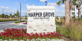 Harper Grove Gallery 43