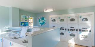 Morrison in Mesa Gallery 22