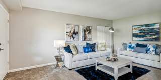 Windsor Forest Windsor Forest Gallery 6